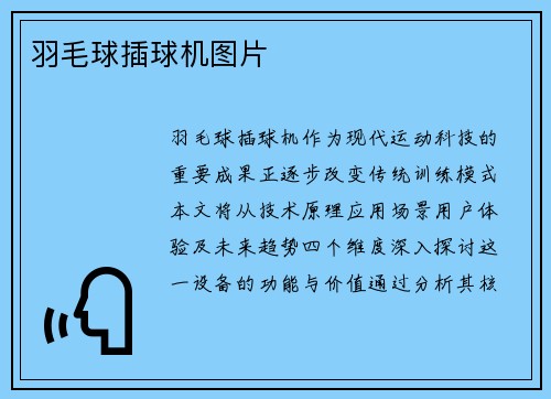 羽毛球插球机图片